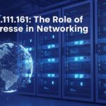 264.68.111.161: The Role of IP Addresses in Networking